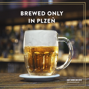 Pilsner Urquell Beer Carton (24x330ml)